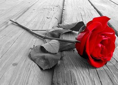 婚前恐惧如何开导,婚前恐惧症最佳回答