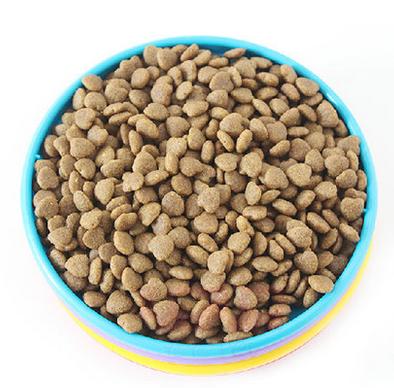 猫咪春天减肥计划表,猫咪最有效的减肥方法