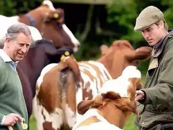 待位64年的王子，花30年将450万㎡荒地打造成世界最美庄园