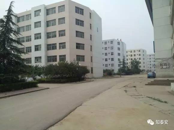 知*安泰**:*安泰**各所大学大PK