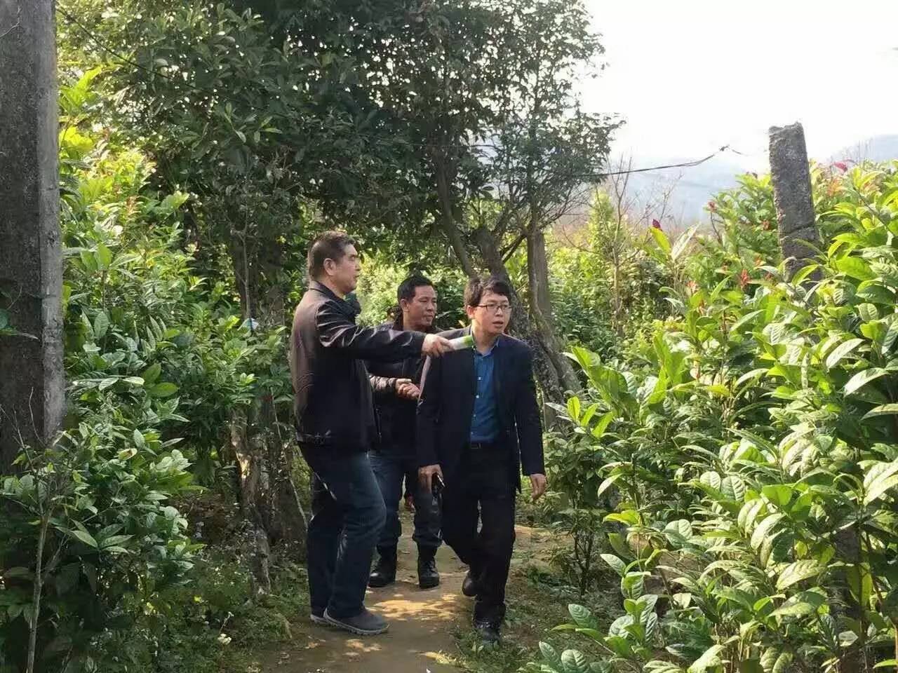 金花节开幕式,以花为媒非遗绽放花博会