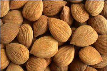 孕期知识大全及注意事项书,孕期检查项目时间表注意事项