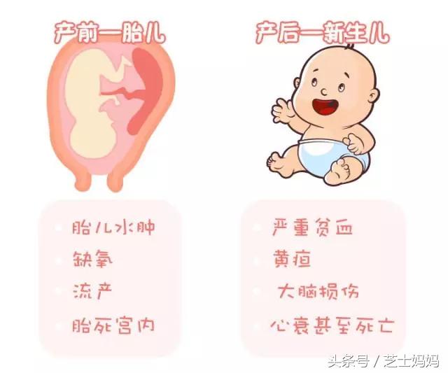 熊猫血和啥血型正常生娃,熊猫血生二胎真的难吗