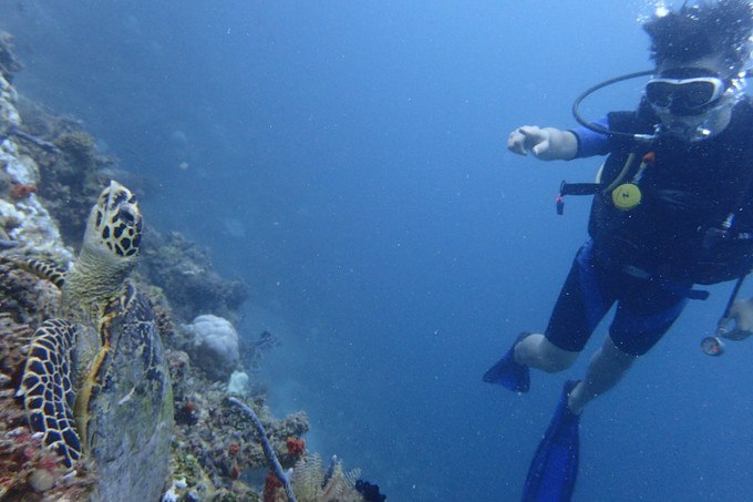 亲爱的我们一起去旅行歌曲,一起看海是我们的约定马尔代夫