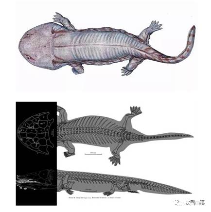 鬼吹灯从墓里盗出过什么,鬼吹灯的墓的凶险