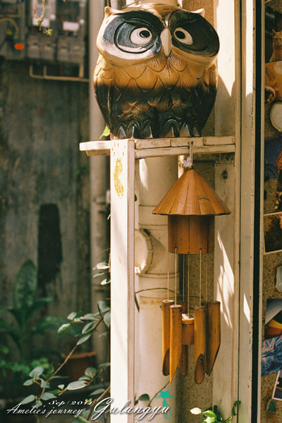 鼓浪屿旅行攻略最新,鼓浪屿旅行攻略大全