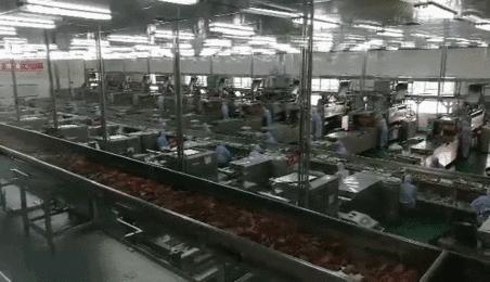 辣条界的扛把子卫龙,辣条大佬卫龙是谁