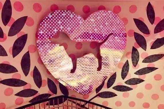 维密中国旗舰店,维密官网中国官方旗舰店