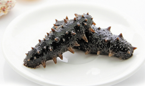 大连海参地标价格表,大连海参哪个区域最好