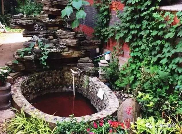 魔都这10家萌宠餐厅酒店，拯救留守在家的喵喵狗狗！咖啡、汉堡、江景……和主子腻在一起！