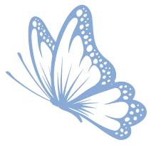 校长访谈｜曙光路小学：从地方戏曲唱出“曙光”特色