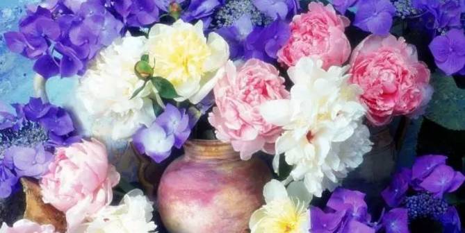 世界拉丁舞音乐节奏感强的,一个动感十足的舞蹈