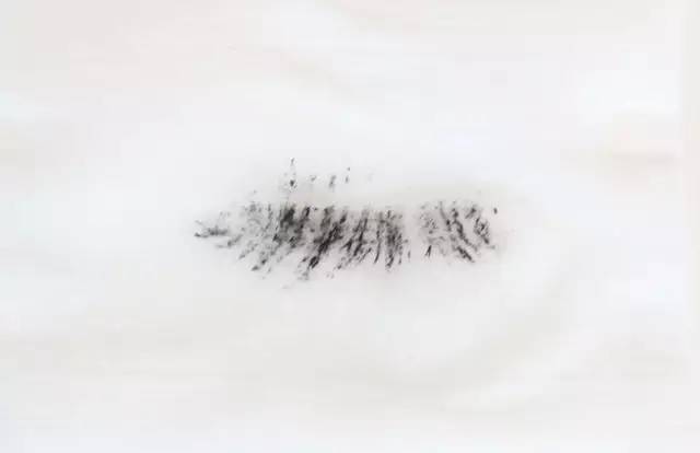 18支好口碑睫毛膏评测（谁不脱妆？谁最易卸？看这里）