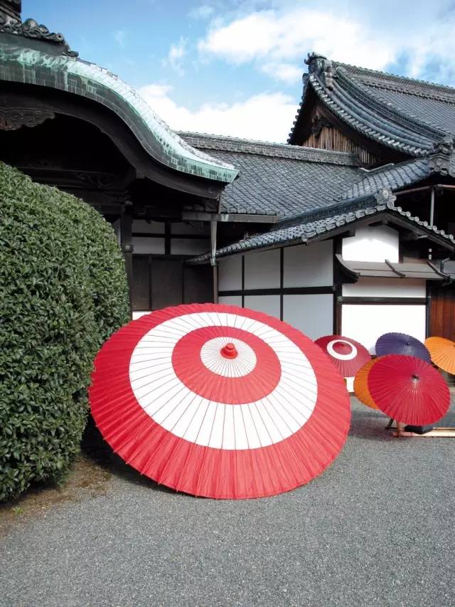 一生只做好一件事的书,荐书活成自己喜欢的样子