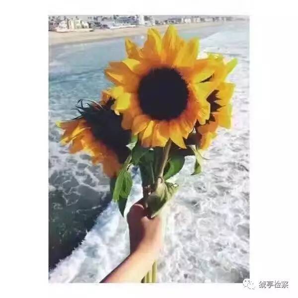 我心中的检察院征文100字,我心中的法治征文