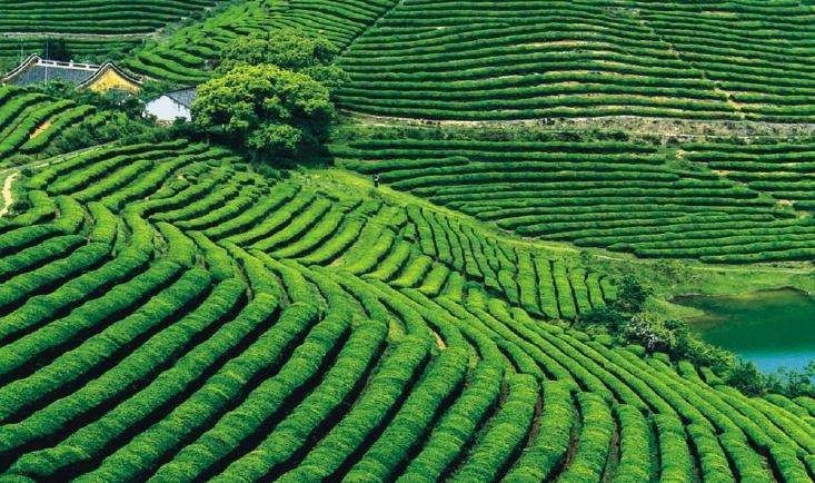 华为人人持股具体操作模式,华为如何人人持股的