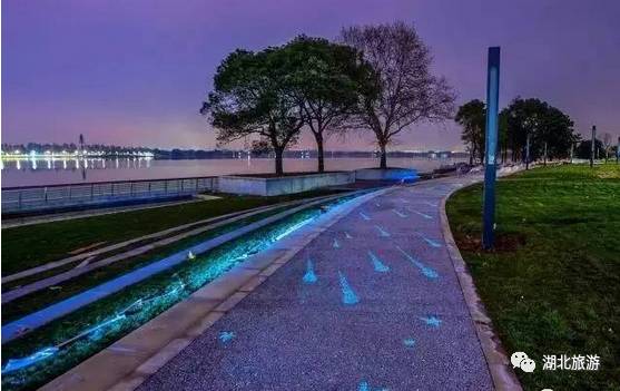 东湖绿道周末人挤人,东湖绿道堵车