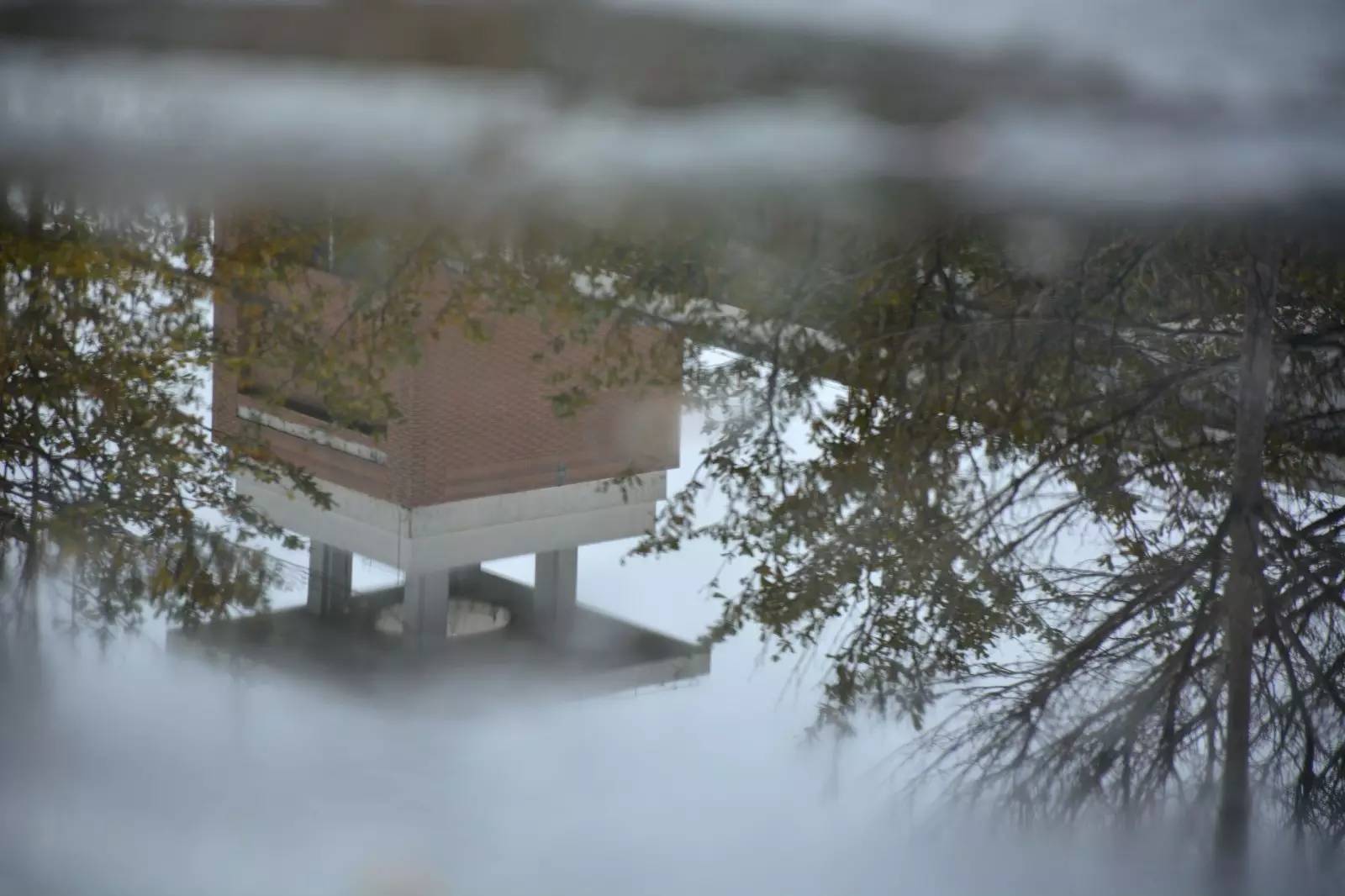 福师大版诗词大会|长安辞赋星雨谣,仓旗才俊巧成章