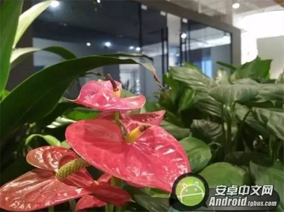 红米4手机高配评测,红米4x手机评测