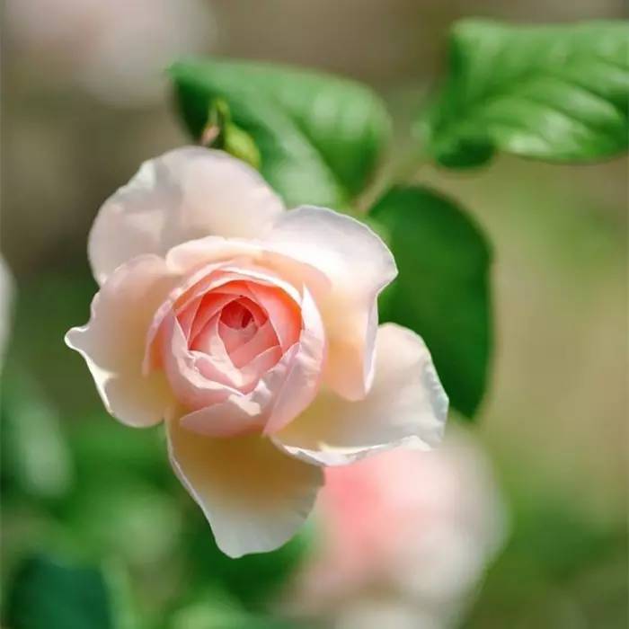 人生的三个境界，你到了哪一层？