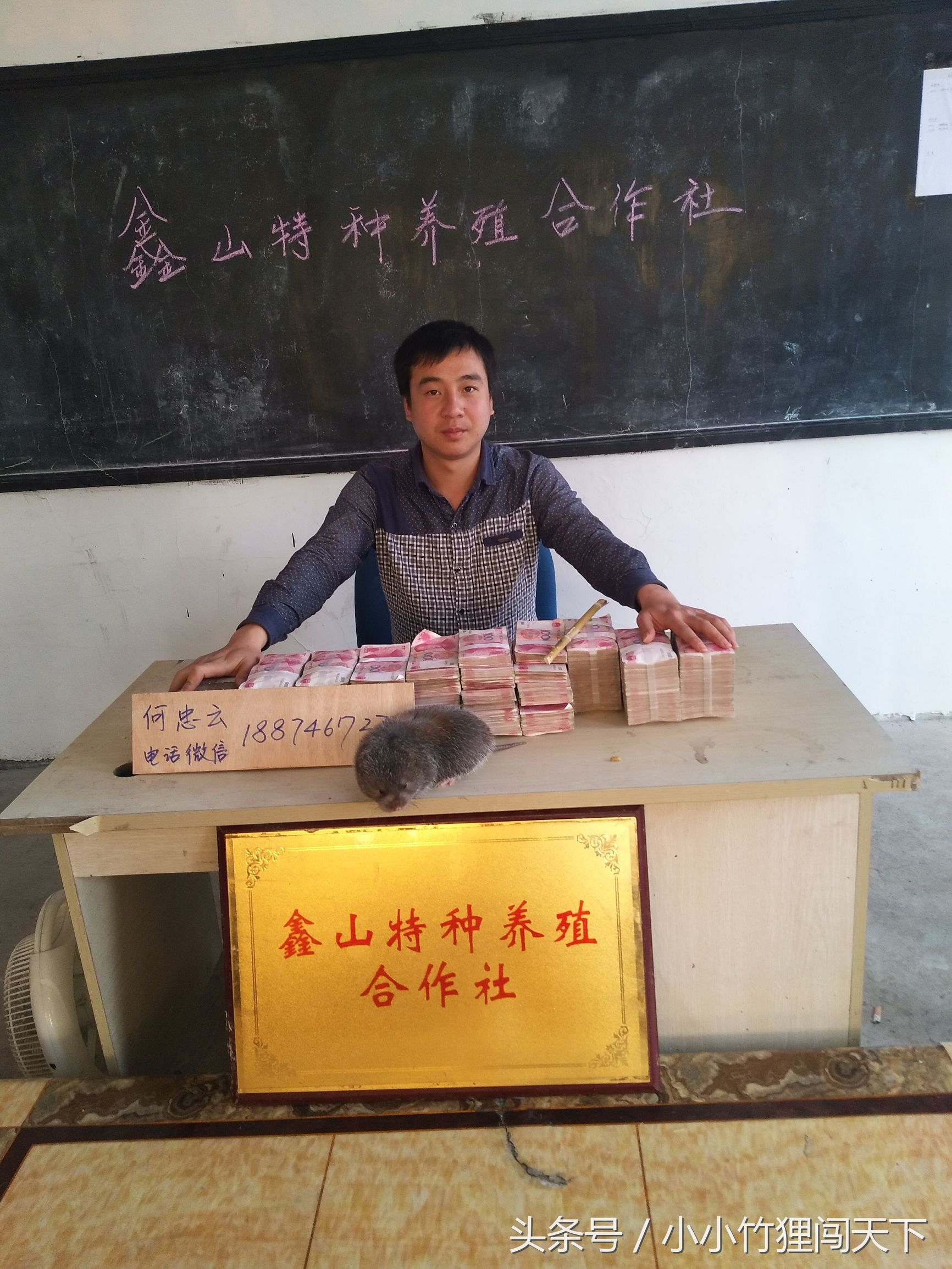 竹鼠养殖是骗局吗,竹鼠养殖加盟代理