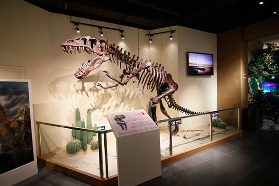 大连旅游线路推荐一日游,大连旅游攻略必去十大景点推荐