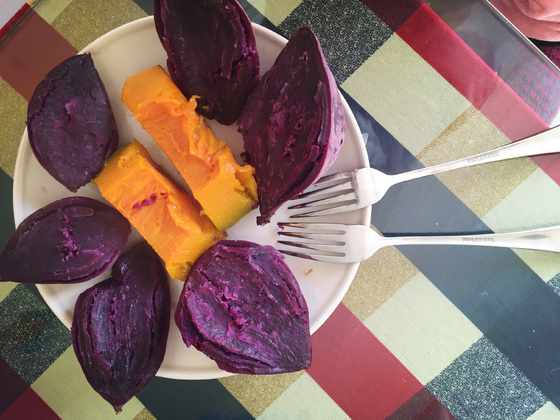 一对百合妈妈的幸福育儿经历,也许你不用嫁给男人!