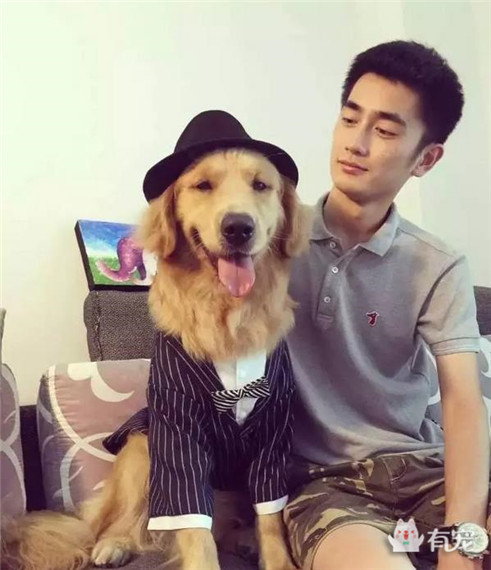 大金毛过生日被美女左拥右抱,铲屎的你可以关灯了!