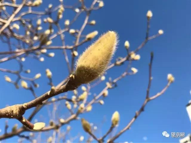 从望京地标到望京西园四区，繁华落尽依旧爱你！