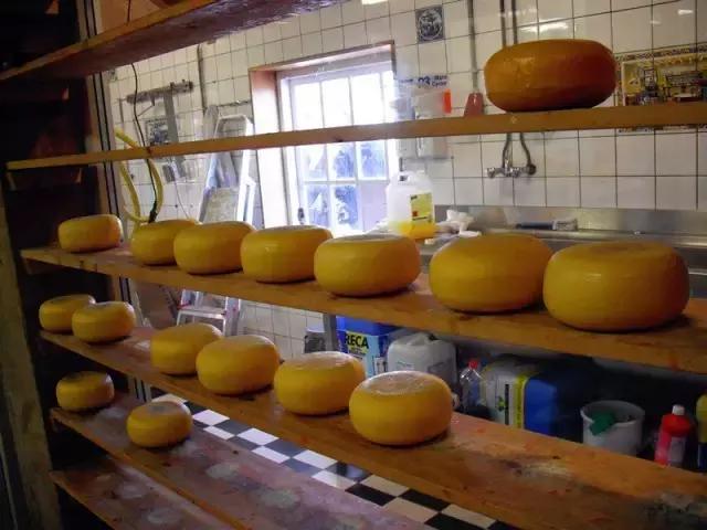 荷兰纪行—风车村与安妮之家（看看荷兰的“四宝”）