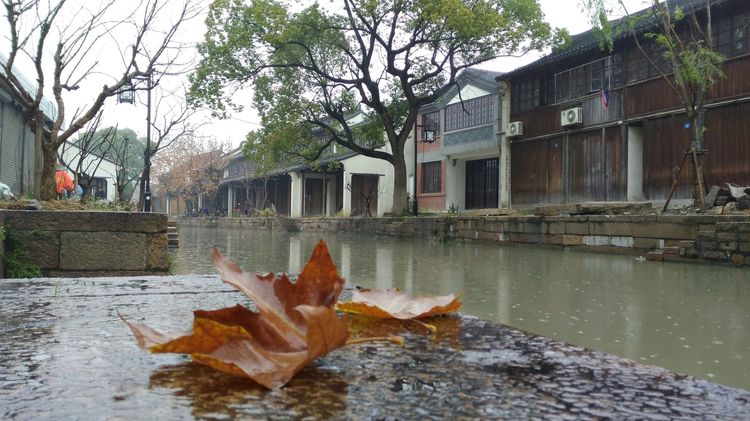 黎里古镇门票价格,黎里古镇烟雨江南
