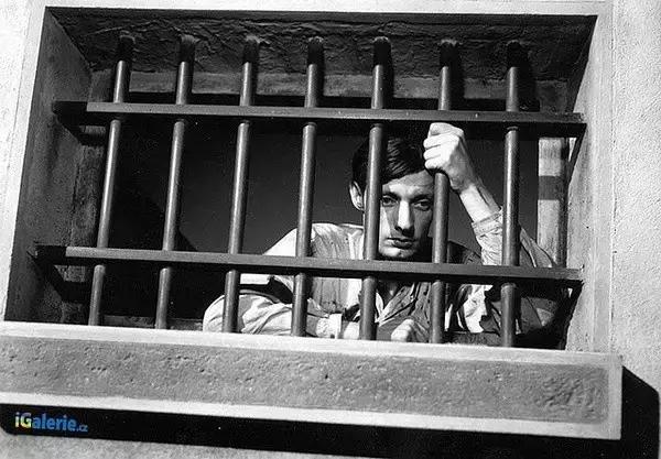 越狱第五季史上最牛越狱,越狱第五季越狱五人组结局