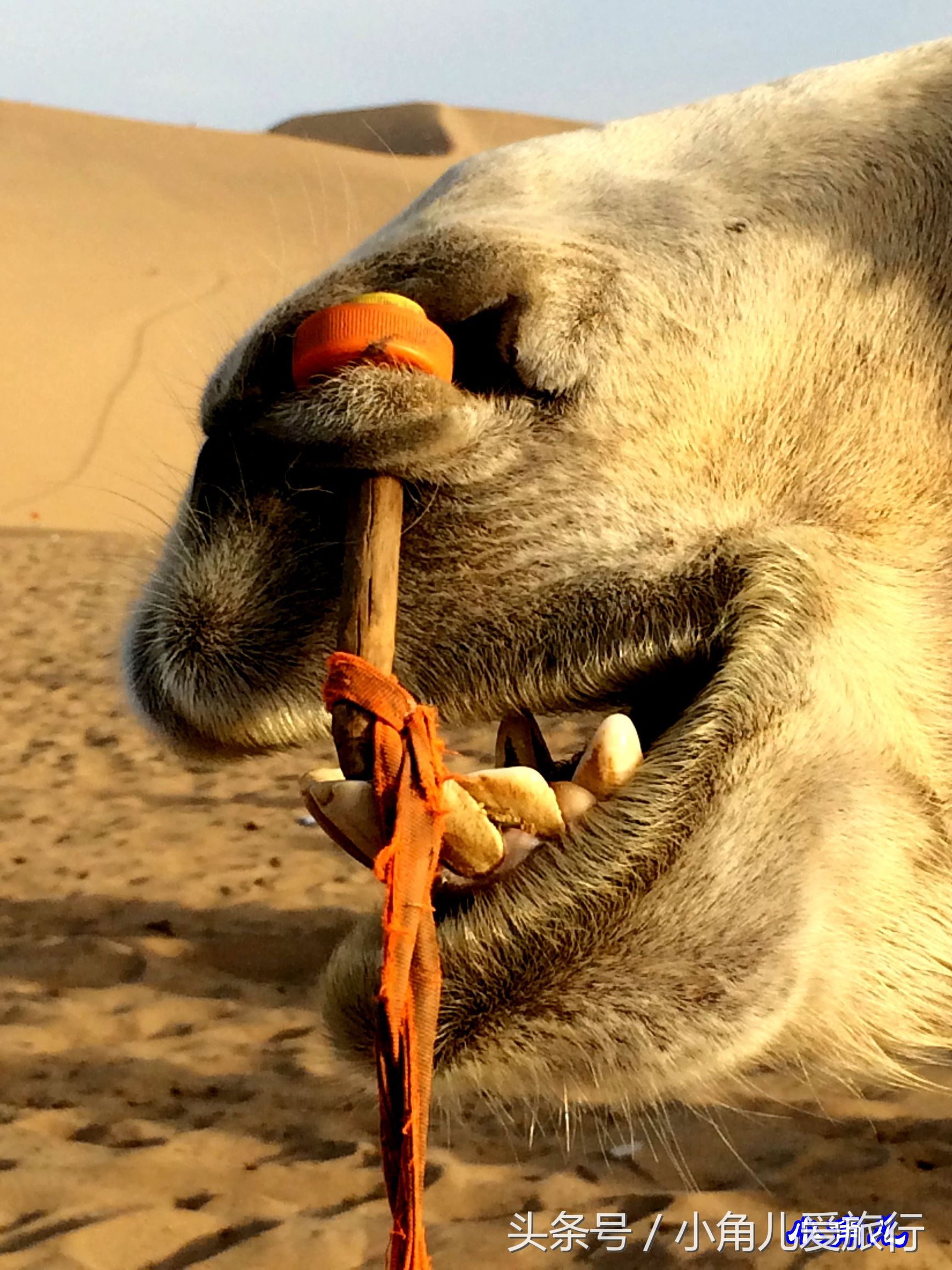 2015，七月的行迹——自驾青甘宁（九）甘肃，敦煌