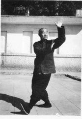 太极拳阴手阳手,太极拳阳脉和阴脉图