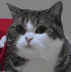 留学机构活动一般都有什么东西,没课外活动申请留学