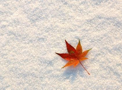 学渣过司考,从零开始司考