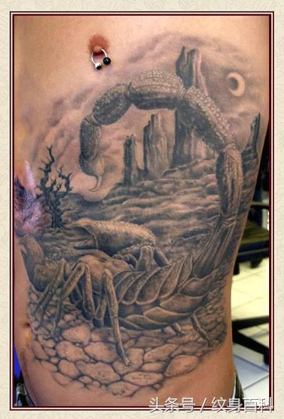 粉丝求图,粉丝求素材原图怎么回复