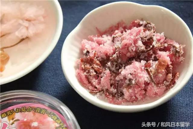 樱花季带你去日本看最美的樱花,日本观赏樱花地点有哪些