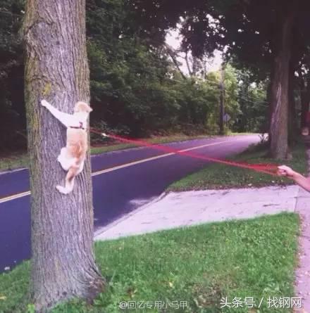 钢材销售员的一天，简直太形象了！笑喷……