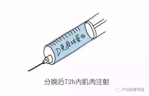 熊猫血的人可以二次怀孕吗,熊猫血女性怀孕打什么针