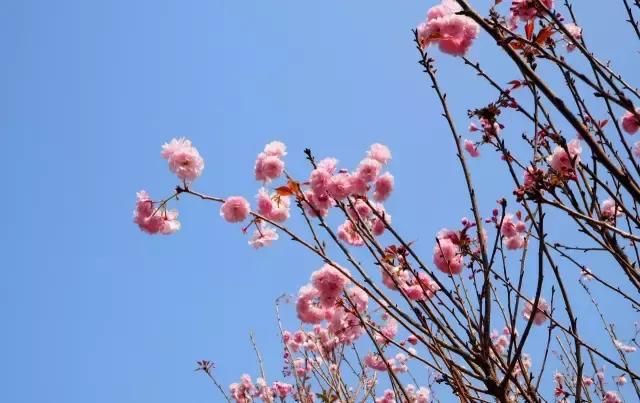 深圳暑假必去免费景点 (深圳五一有什么景点门票优惠的)