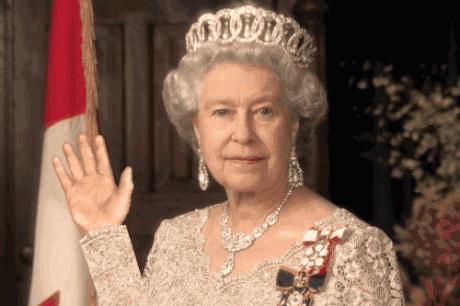 经历了5任美国总统的熊猫比英国女王更厉害