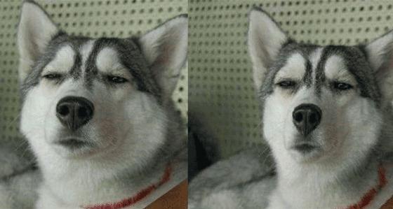 摄影后期修图app,16款摄影师私藏修图app