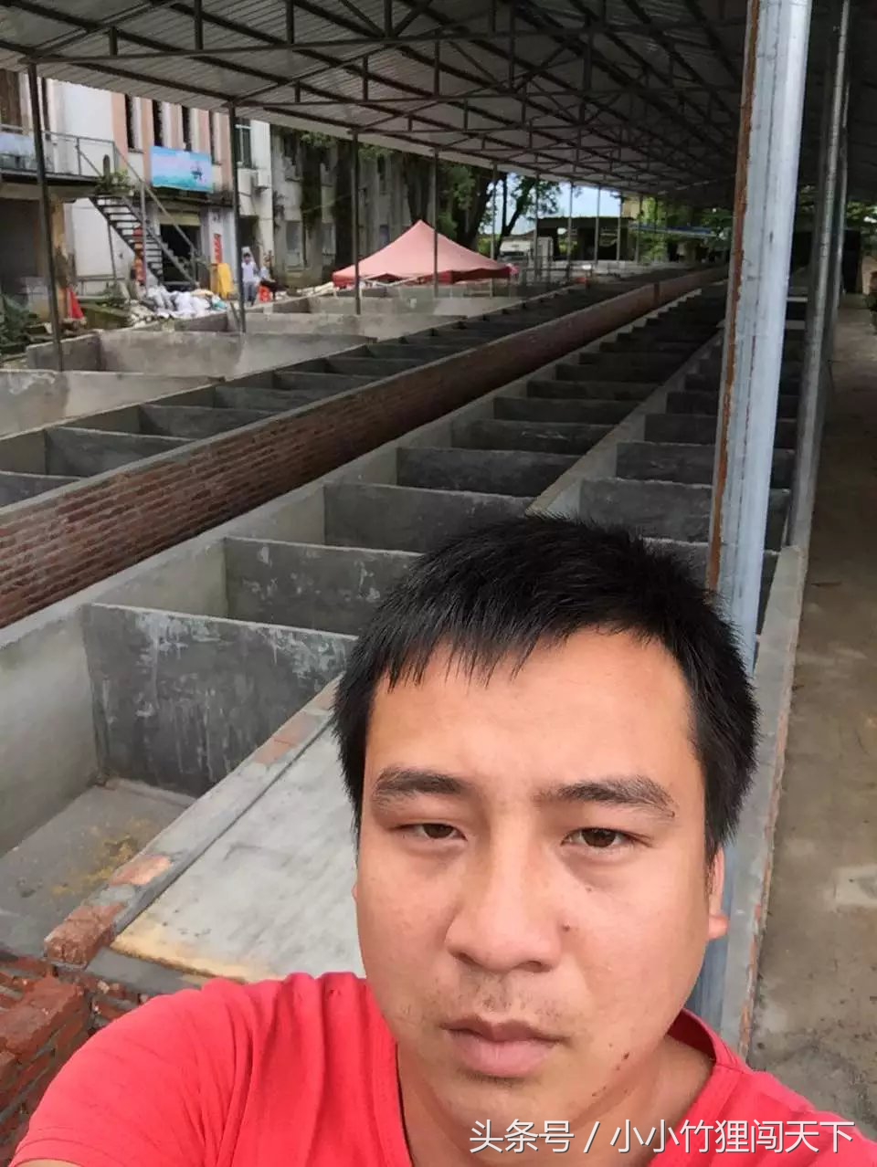 竹鼠养殖是骗局吗,竹鼠养殖加盟代理