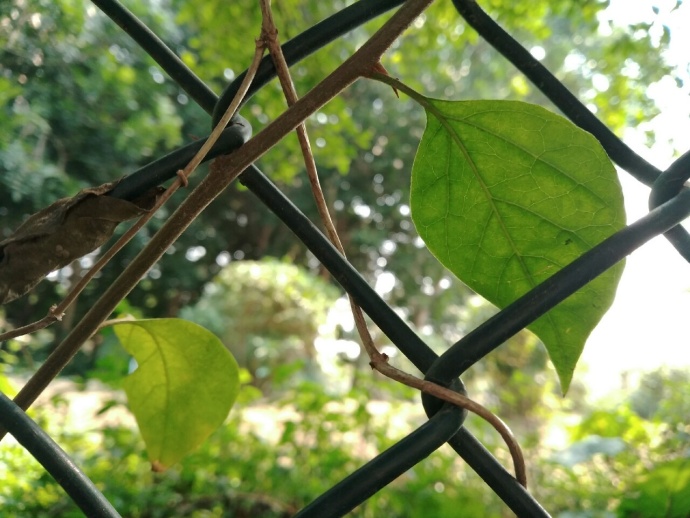 360最新n5手机怎么样,360手机n5配置怎么样