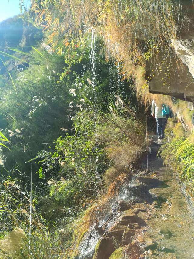 大漠户外旅行虎跳峡徒步详解,虎跳峡徒步168级勇者云梯