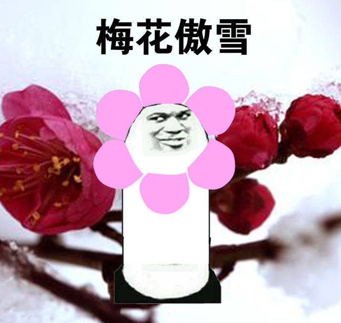 广场舞大妈跳舞把音响给砸了,大妈跳广场舞扰民音响被秀砸