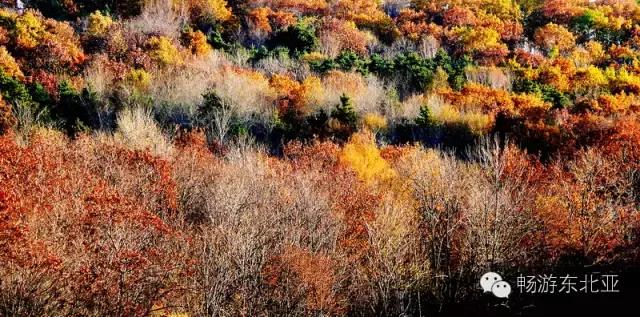 大辽源美景,大辽源视频