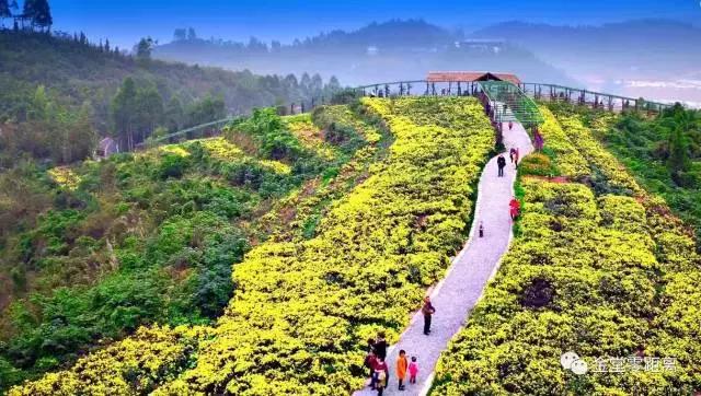 金堂官仓玉皇山门票免费吗,金堂官仓玉皇山养生谷