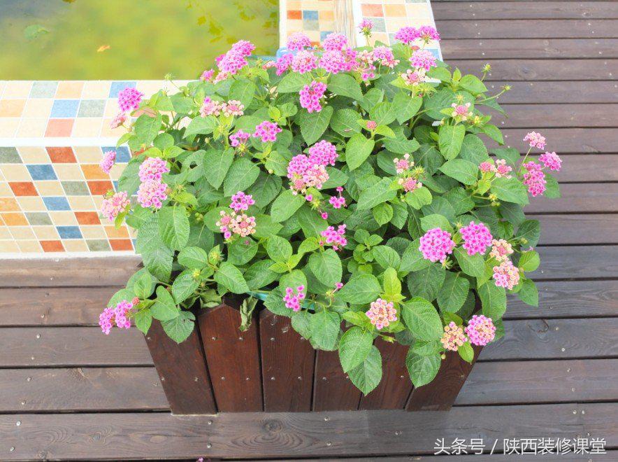 原木风一梯一户,一户一房一厅装修效果图